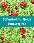 Strawberry Fields Sensory Mix