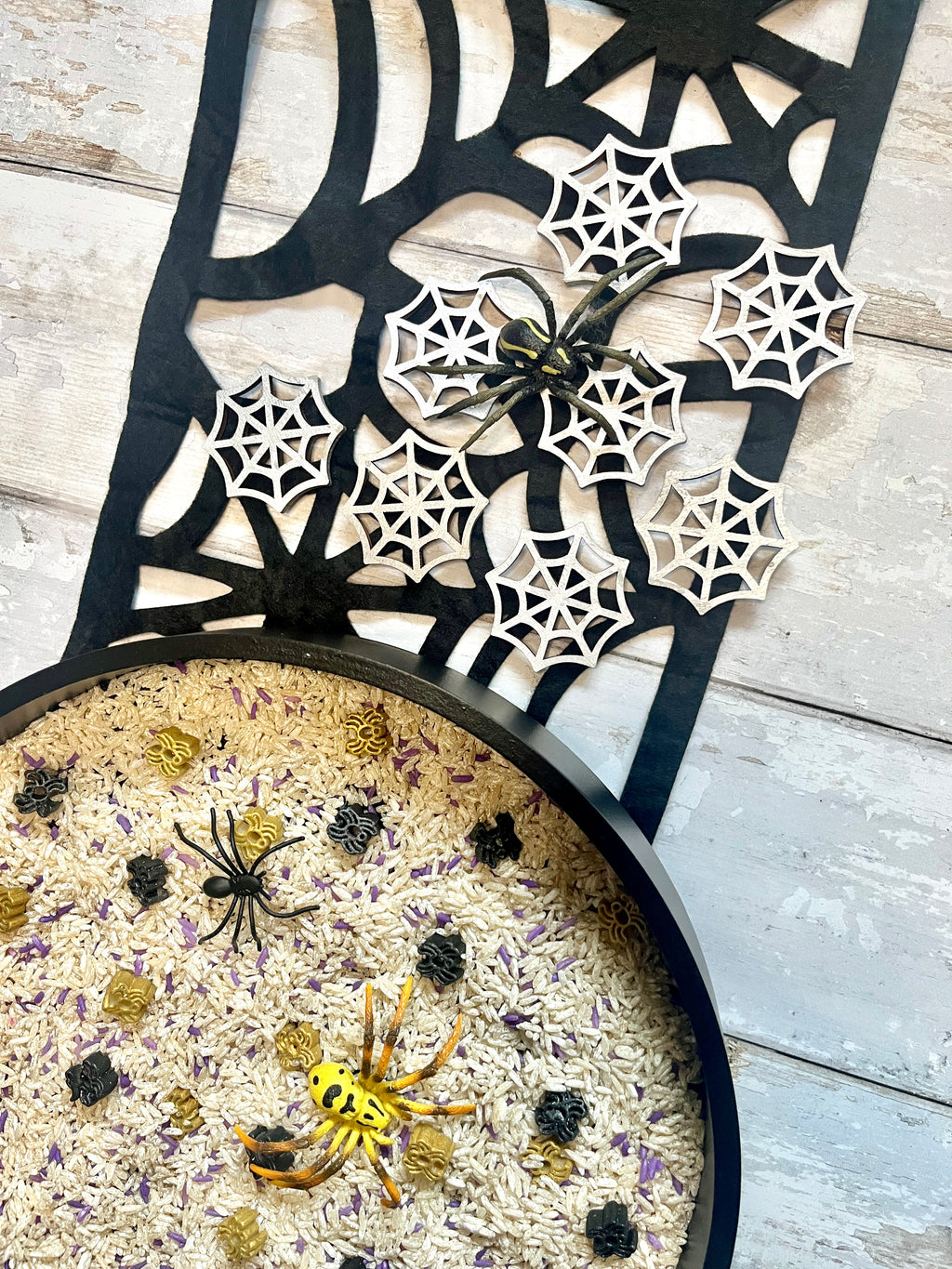 Spooky Spiders Sensory Mix