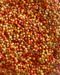 Autumn Chickpeas Sensory Mix