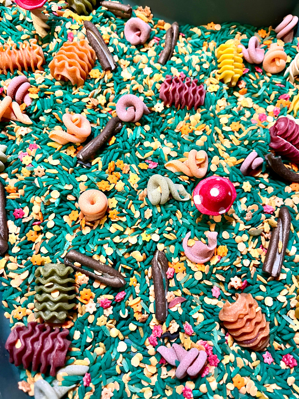 Fungi Forest Sensory Mix