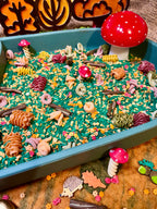 Fungi Forest Sensory Mix