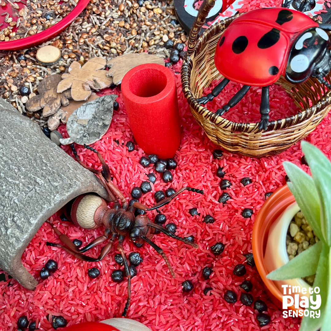 Ladybird Love Sensory Mix