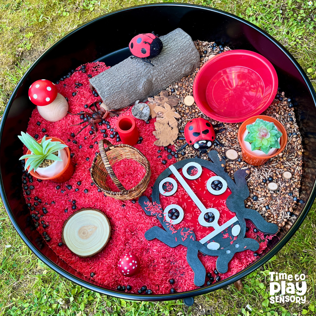 Ladybird Love Sensory Mix