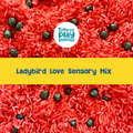Ladybird Love Sensory Mix