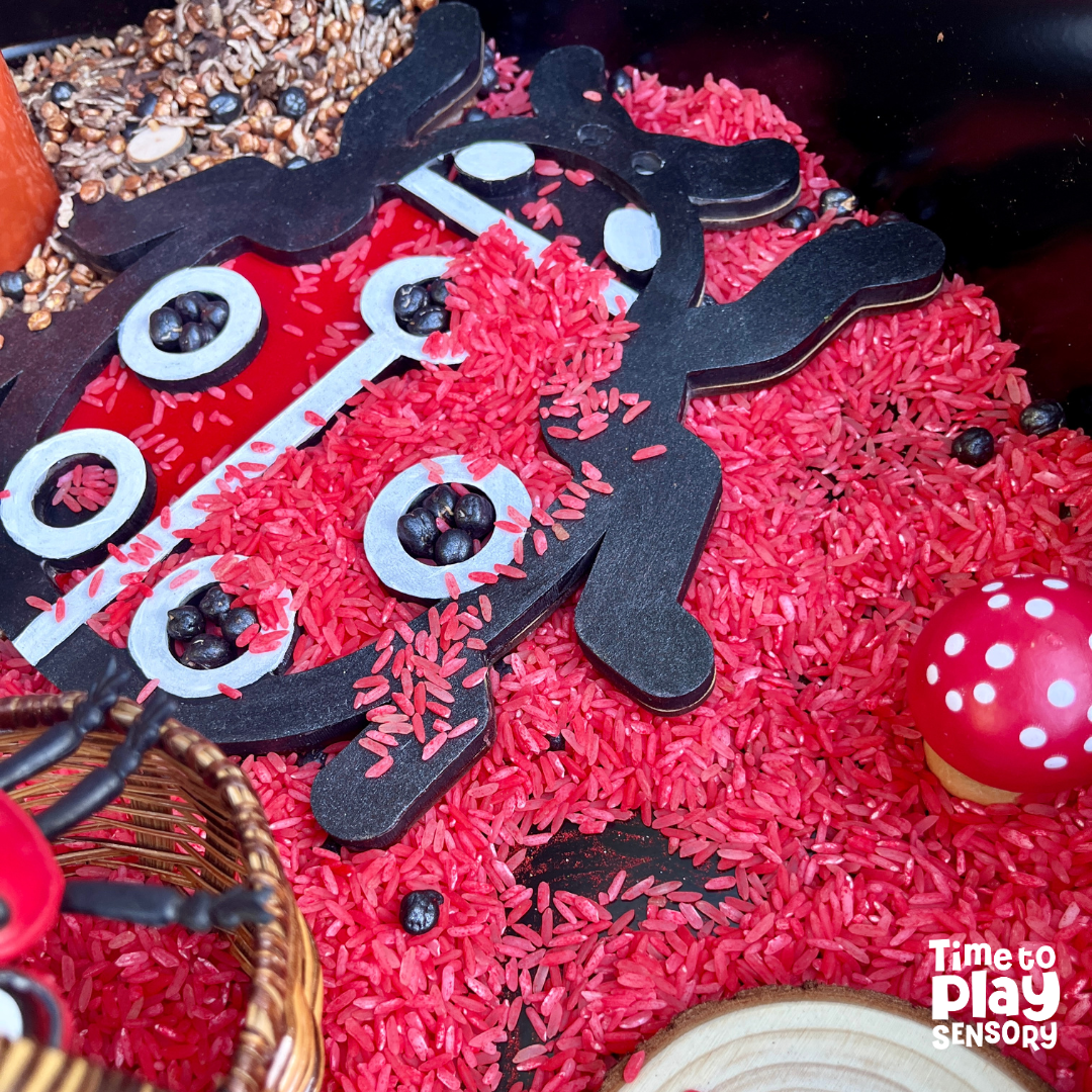 Large Ladybird Play Tray