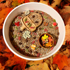 Woodland Floor Sensory Mix